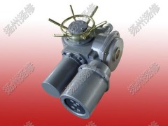 機(jī)電一體化開關(guān)型執(zhí)行器DZW20-24-A0