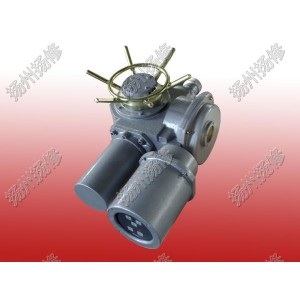 機電一體化開關型執(zhí)行器DZW20-24-A00-WK
