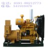 供應(yīng)福州耐用的福州上柴柴油發(fā)電機(jī)，好用的柴油發(fā)電機(jī)