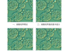 宜興賽爾生物提供宜興細胞培養基，