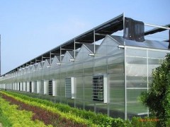 溫室動力【凌宇】智能蔬菜水果種植