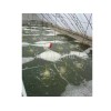 【推薦】樂雄機(jī)械制造爆款微孔曝氣增氧設(shè)備_沈陽曝氣管廠家