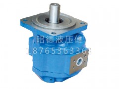 【現(xiàn)貨！】【廈工XG951裝載機(jī)轉(zhuǎn)向泵