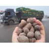 專業(yè)的頁(yè)巖陶粒供應(yīng)商_彤程輕質(zhì)建材 頁(yè)巖陶粒供貨廠家