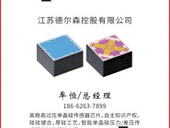 江蘇德?tīng)柹J(rèn)領(lǐng)《圖頁(yè)儀表牌》黑桃2為專屬牌
