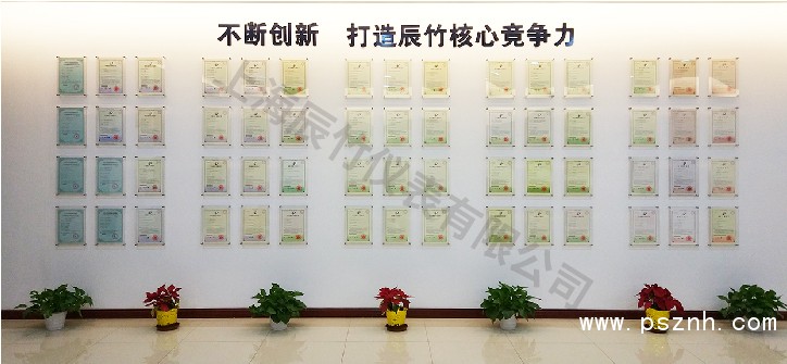 榮譽(yù) | 辰竹董事長(zhǎng)王竹平獲評(píng)CAIMRS領(lǐng)軍力量之智未來(lái)·產(chǎn)業(yè)先鋒