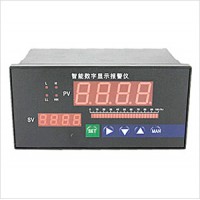 肯創(chuàng)儀表 8點巡檢儀 產(chǎn)品型號： KCXJ-201111