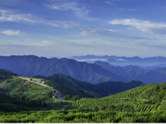 聚光科技碳監(jiān)測助力實現(xiàn)“碳達峰”和“碳中和”目標(biāo)