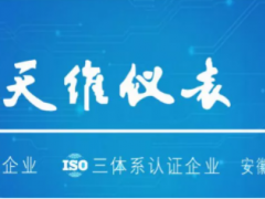 中國環(huán)博會(huì)閃耀亮相丨天維儀表與您共創(chuàng)萬物智聯(lián)時(shí)代