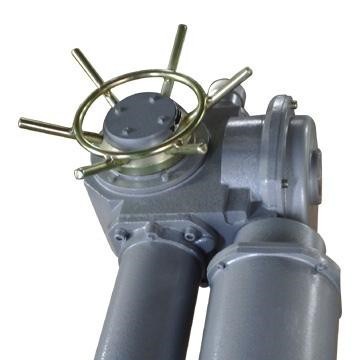 DZW60-24-A00-WK整體式電動(dòng)閥門(mén)
