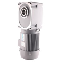 中大力德_F3系列準雙面齒輪減速電機 ZDF3-1500W